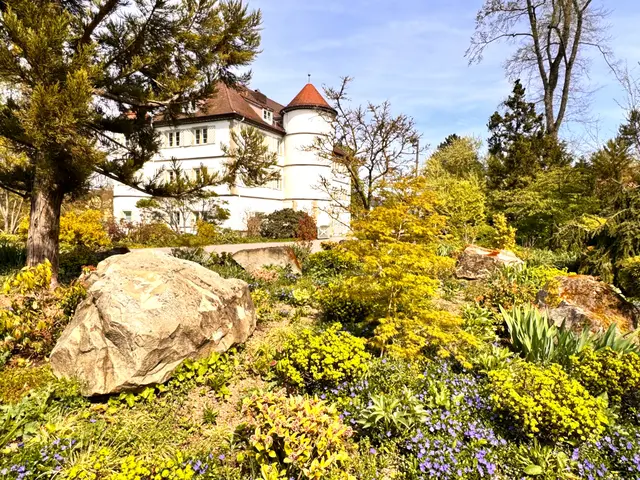 Foto: Heide Böllinger aus Bad Friedrichshall