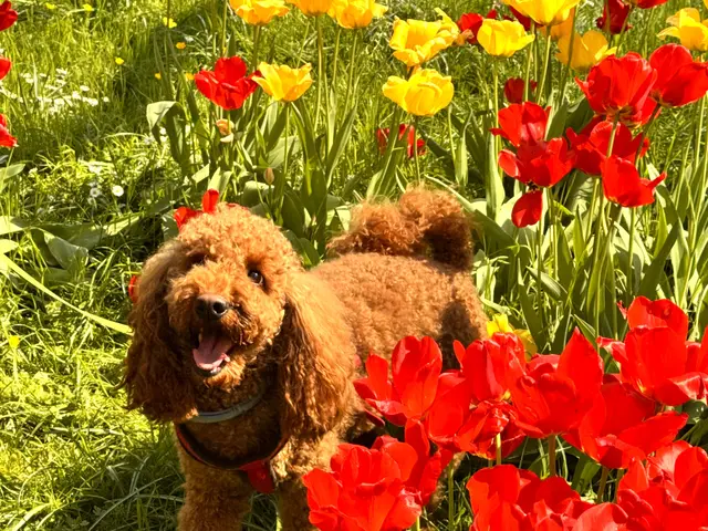 Foto: Helmut Böllinger aus Bad Friedrichshall