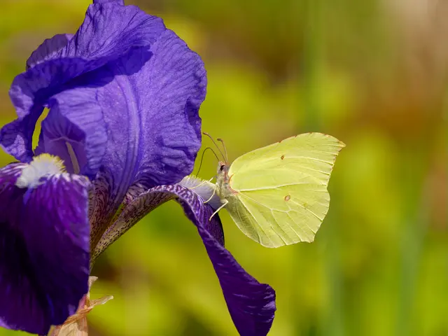 Foto: Eigenes Bild TB