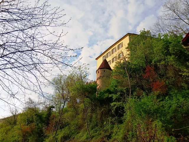 Auf unserem Weg thront Schloss Horneck hoch über uns.  | Foto: sigischlottke