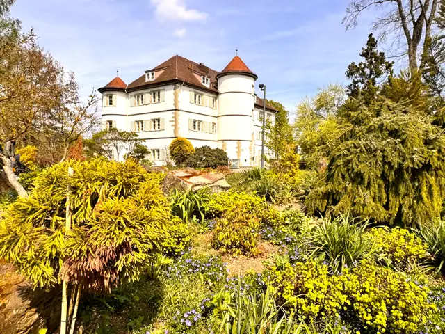 Foto: Heide Böllinger aus Bad Friedrichshall