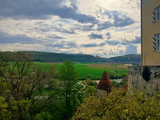 Der Blick von der Terrasse über den Neckar, hin zu Burg Guttenberg.  | Foto: sigischlottke