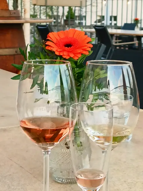 Wir haben schon die Köstlichkeiten vom Buffet genossen und sitzen noch bei Wein, Sekt und alkoholfreien Getränken auf der Terrasse des Schlosses.  | Foto: sigischlottke