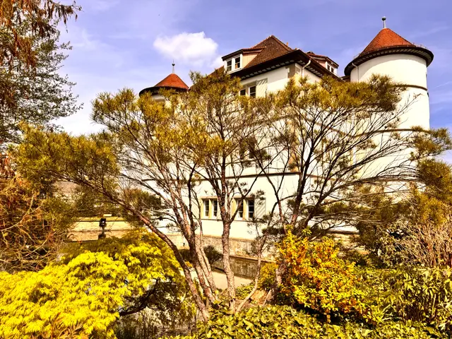 Foto: Heide Böllinger aus Bad Friedrichshall