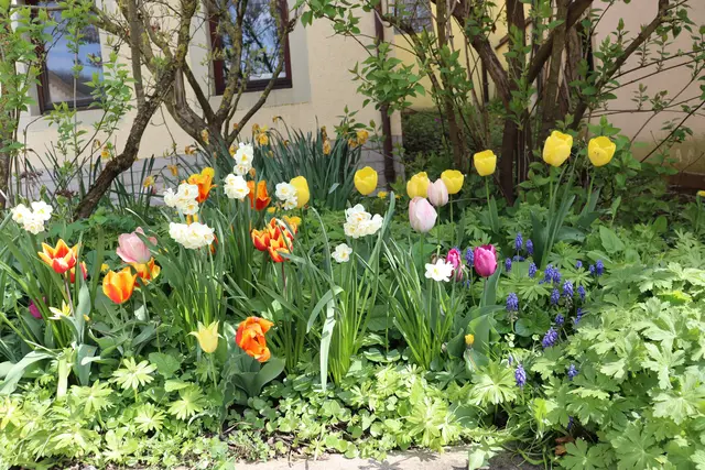 Frühlingsgrüße | Foto: Marga Specht