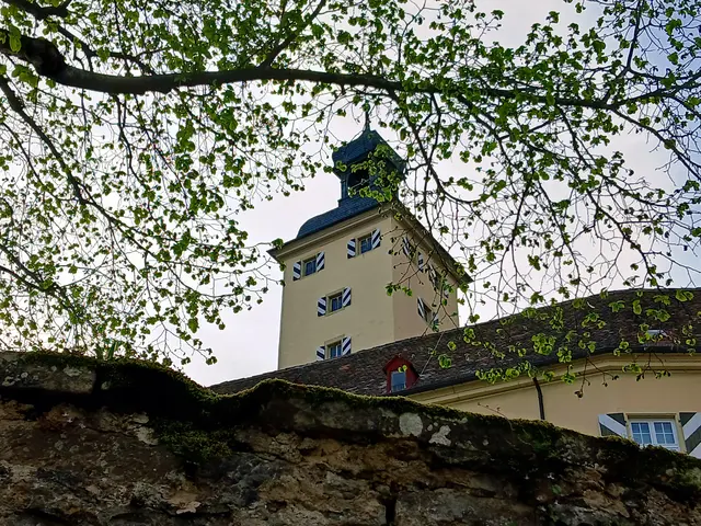 Wieder draußen sieht man oben schon wieder den Turm von Schloss Horneck.  | Foto: sigischlottke
