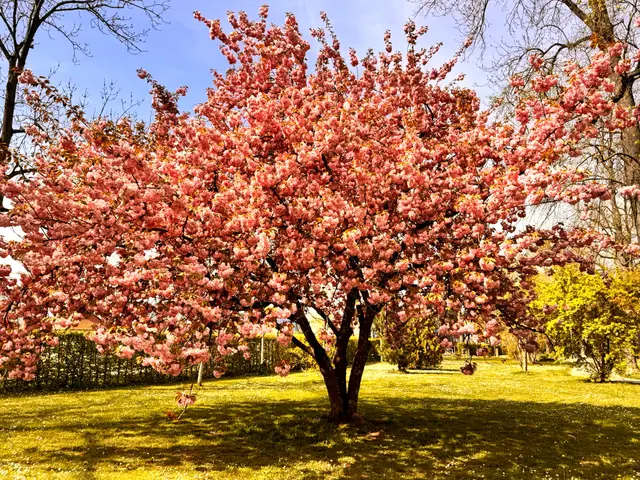 Foto: Heide Böllinger aus Bad Friedrichshall