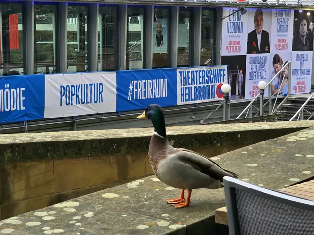 mir ist eher nach etwas Unterhaltung.... | Foto: Heidrun Rosenberger