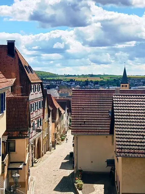 Der Blick über die Dächer der Altstadt und auf die Schlossstraße.  | Foto: sigischlottke