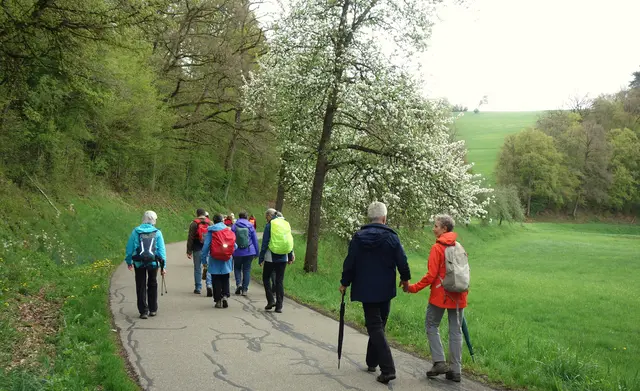 Naturnahe Landschaft des Hergstbachtales. | Foto: Isolde Reitz