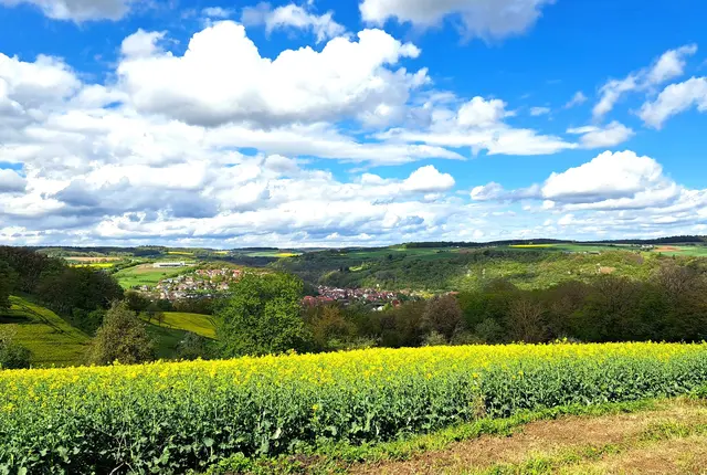 Herrlicher Blick ins Jagsttal mit der Stadt Widdern. | Foto: Isolde Reitz