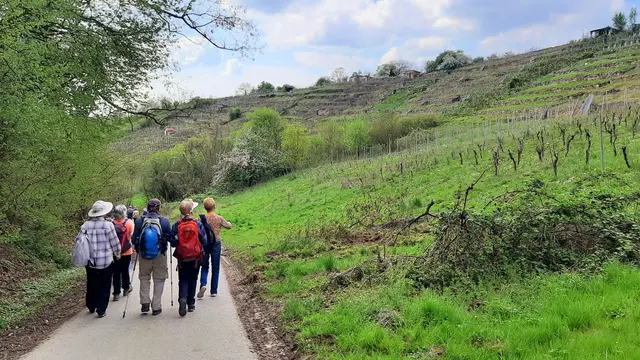 Foto: TSV Untergruppenbach