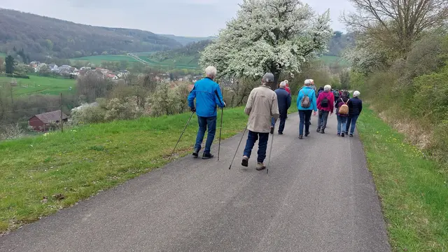 Hohebach in Sicht | Foto: Elfriede Baier 