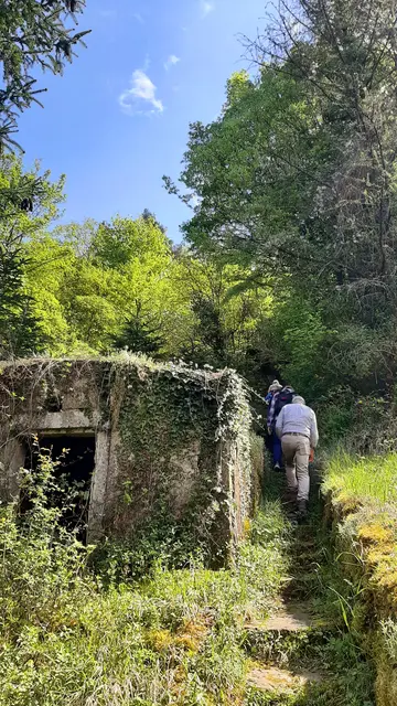 Foto: TSV Untergruppenbach