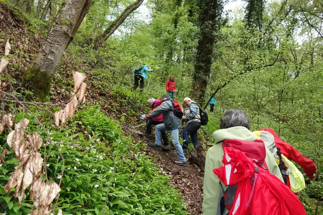 Mit vereinten Kräften und gegenseitiger Mithilfe haben es alle unfallfrei geschafft! | Foto: Isolde Reitz