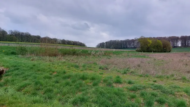 Der Waldrand ist unser nächstes Ziel | Foto: Elfriede Baier 