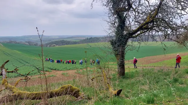 In langer Schlange talwärts  | Foto: Elfriede Baier 
