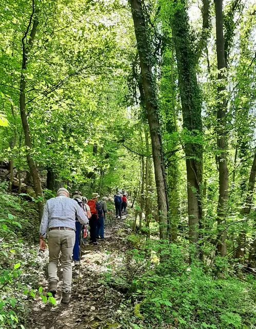 Foto: TSV Untergruppenbach