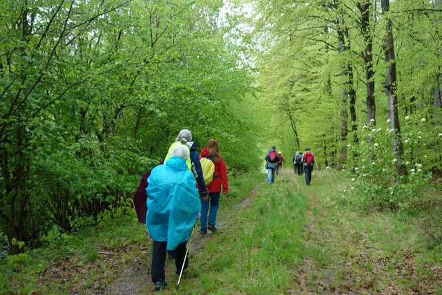 Durch den herrlichen zartgrünen, frisch erwachenden Wald bei der Baierklinge. | Foto: Isolde Reitz