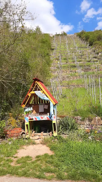 Foto: TSV Untergruppenbach