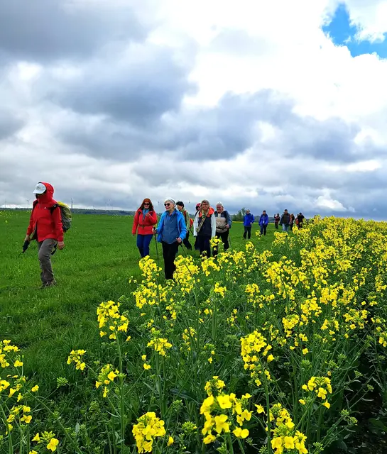 Auf der Hochebene. | Foto: Isolde Reitz