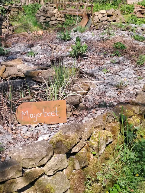 Magerbeet mit trockenheitsverträglichen Pflanzen | Foto: Sarah Peters 