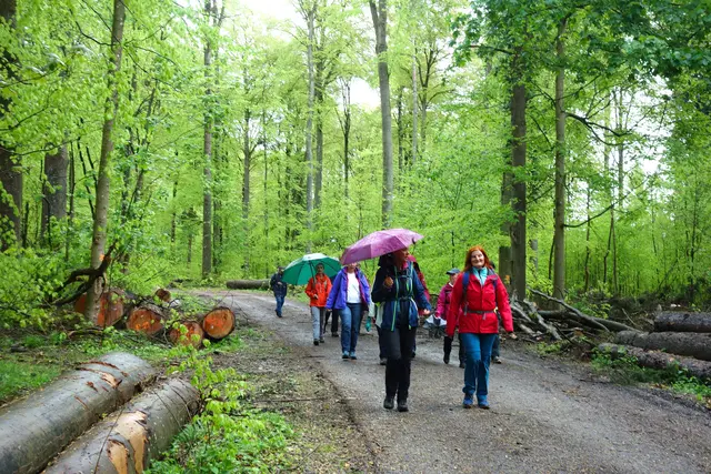 Bei Regen startete die Tour vom Solarpark Seehaus. | Foto: Isolde Reitz