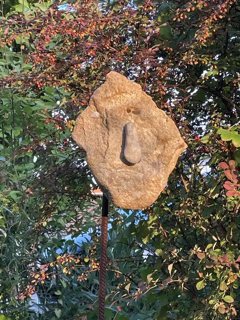 Foto: Bildrechte bei J Ritschel