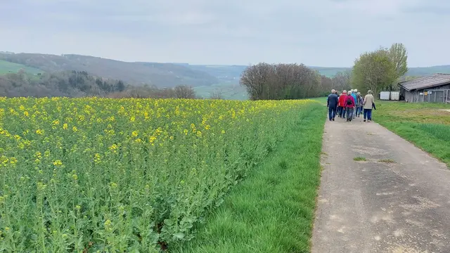 Vorbei an blühendem Rapsfeld | Foto: Elfriede Baier 