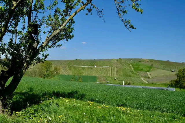 Blick auf das Karmeliterhäusle | Foto: ED