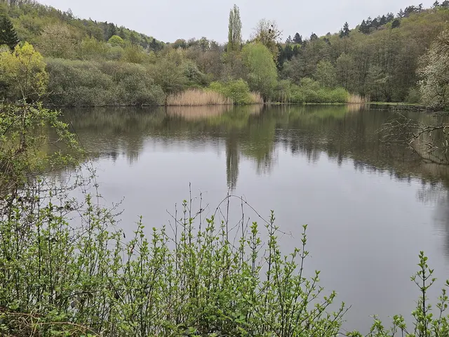 Foto: SAV OG Talheim