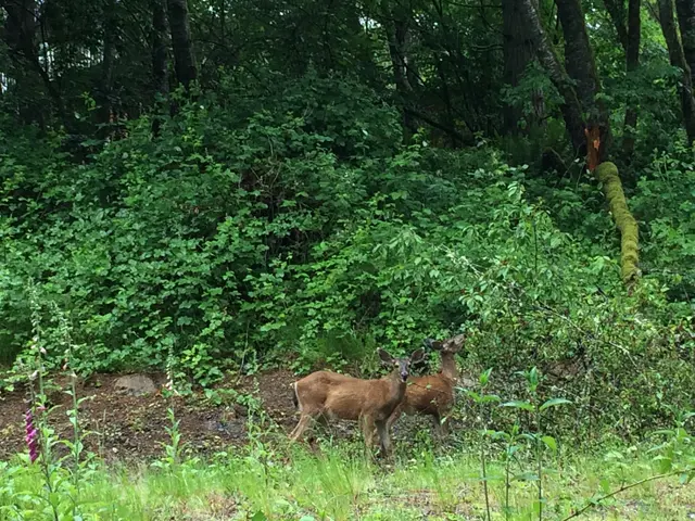 Foto: Florian Gemmingen