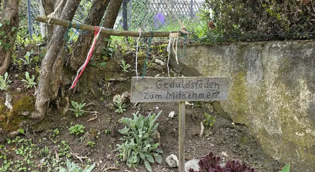 ... für Ungeduldige ... | Foto: privat Sibylle Tröber