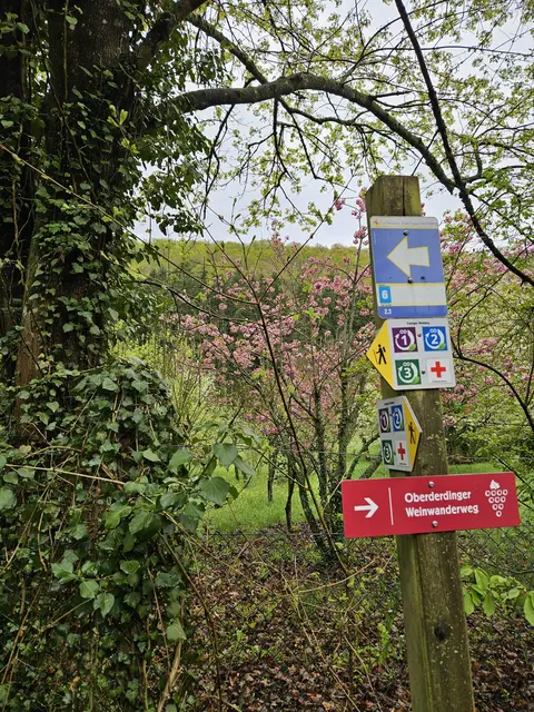 Foto: SAV OG Talheim