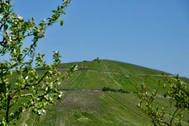 Blick auf den Staufenberg | Foto: ED