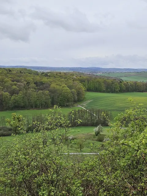 Foto: SAV OG Talheim