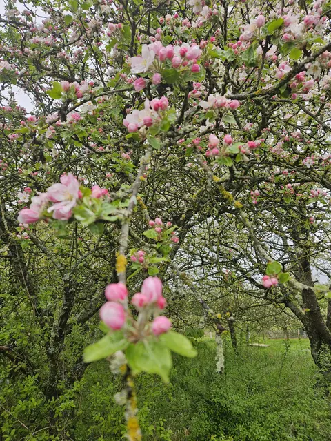 Foto: SAV OG Talheim