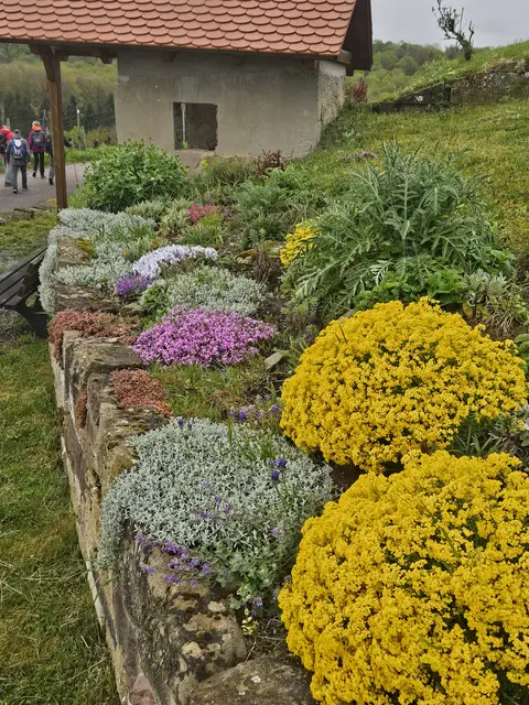 Foto: SAV OG Talheim