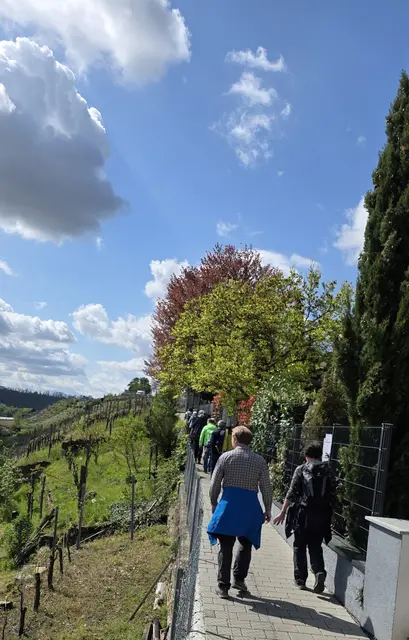 Ausblick. | Foto: privat Sibylle Tröber