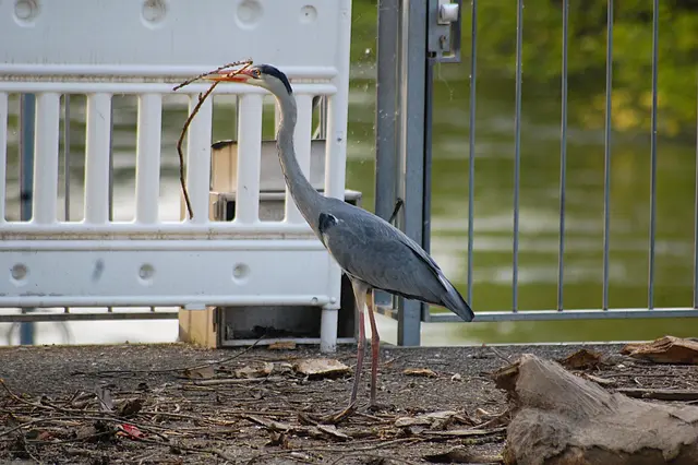 Foto: Heidrun Rosenberger