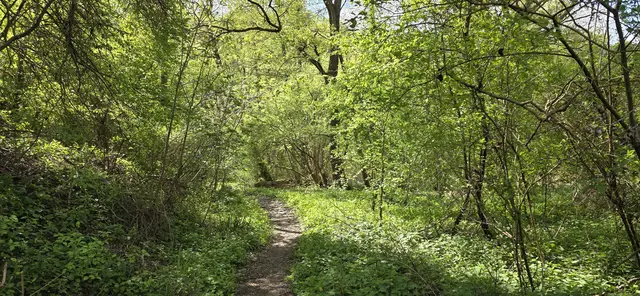 Und rein geht's in den "Urwald". | Foto: privat Sibylle Tröber
