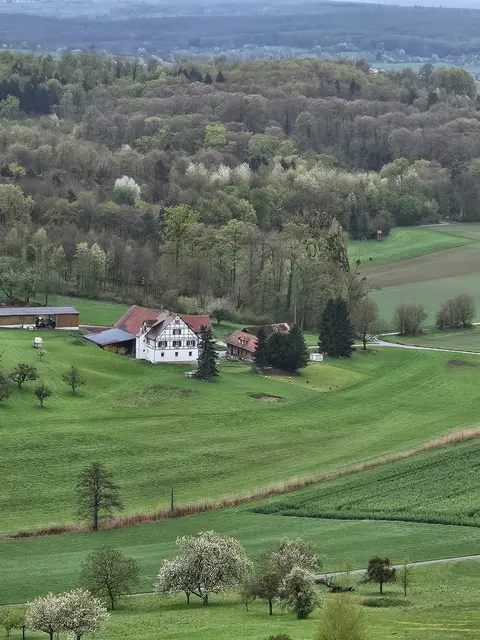 Foto: SAV OG Talheim