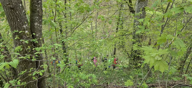Dank der Regenkleidung farbige Tupfer im lindgrünen Wald. | Foto: privat Sibylle Tröber