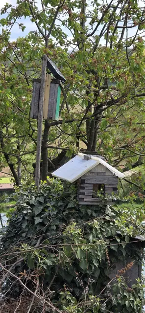 Für die Vögelchen ist auch gesorgt. | Foto: privat Sibylle Tröber