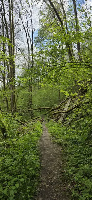 Natur pur. | Foto: privat Sibylle Tröber