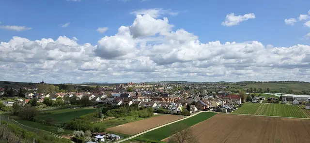 Blick auf Lauffen und Umgebung. | Foto: privat Sibylle Tröber