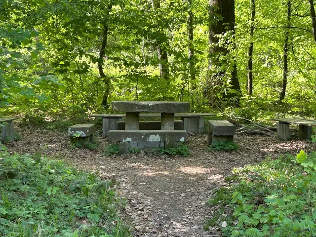 historische Gerichtsstätte.
Hier trafen einst die Markungen von Siebeneich, Schwabbach, Dimbach und Hölzern zusammen; nahebei grenzten die Oberämter Neckarsulm, Öhringen und Weinsberg aneinander.  | Foto: Albverein Weinsberg