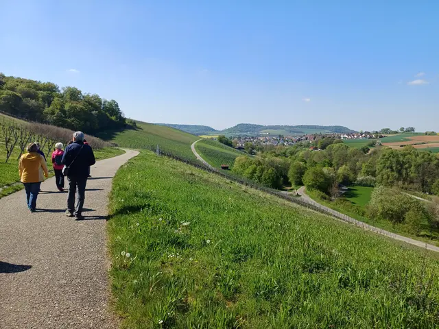 Gutes Wetter und sehr gute Aussichten | Foto: E. Rosendorf