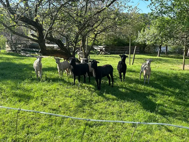 Foto: Albverein Weinsberg