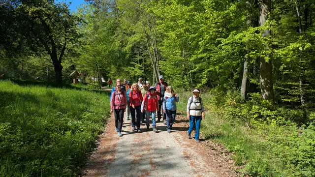 Hier lacht die Sonne die Wanderer an | Foto: Albverein Weinsberg
